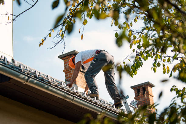 Roof Gutter Cleaning in Albion, IN