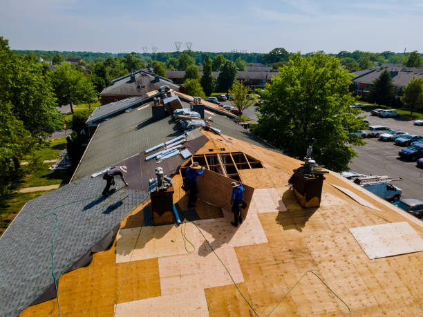 Best Commercial Roofing Services  in Albion, IN