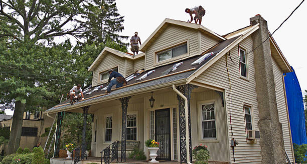 Best New Roof Installation  in Albion, IN